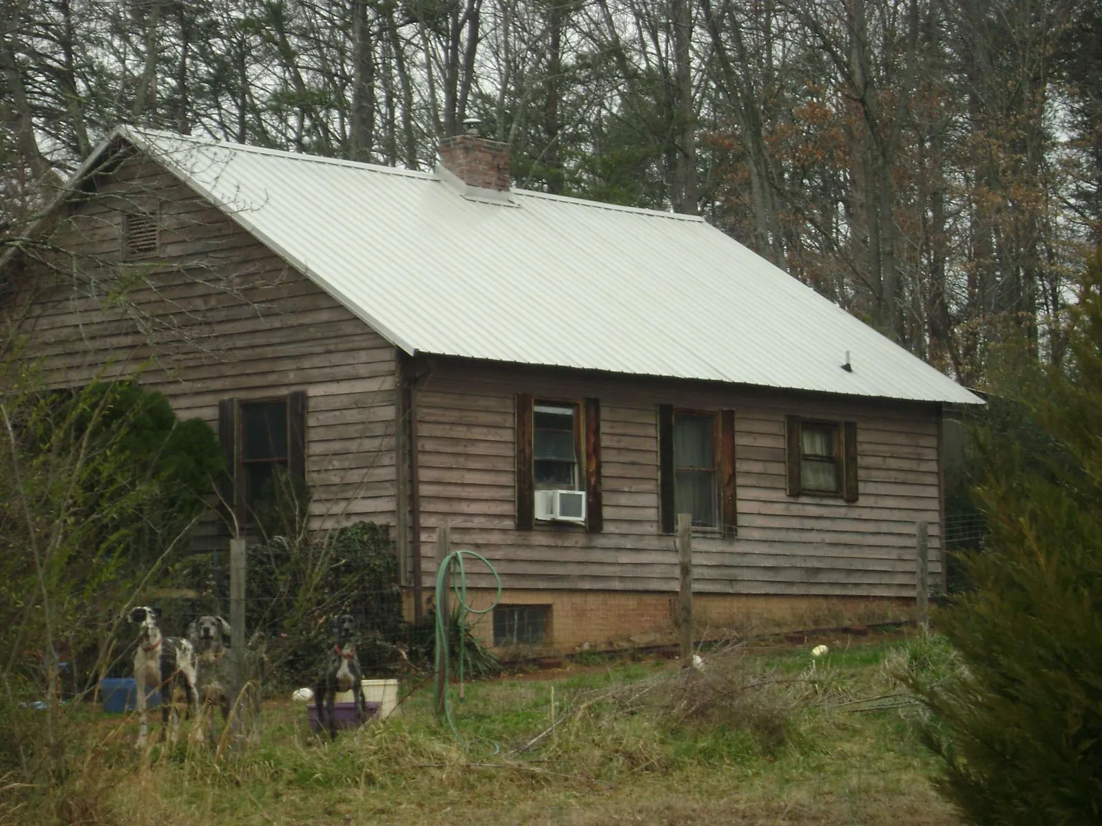 White metal roof on an old wood sided farmhouse, from a Metal Roof Installation job in Shelly